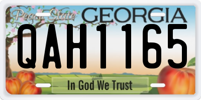 GA license plate QAH1165