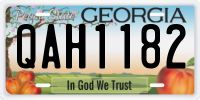 GA license plate QAH1182