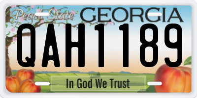 GA license plate QAH1189