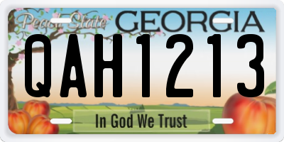 GA license plate QAH1213
