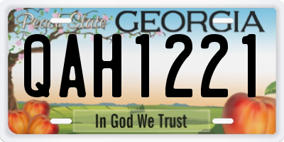 GA license plate QAH1221
