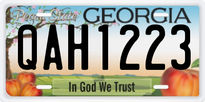GA license plate QAH1223