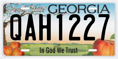 GA license plate QAH1227