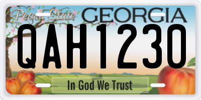 GA license plate QAH1230