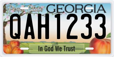 GA license plate QAH1233
