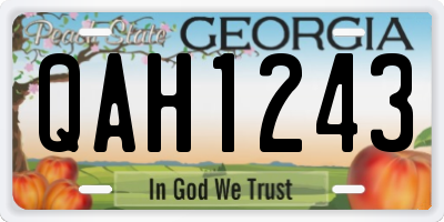 GA license plate QAH1243