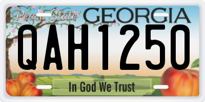 GA license plate QAH1250