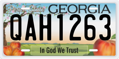 GA license plate QAH1263