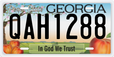 GA license plate QAH1288