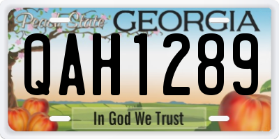 GA license plate QAH1289