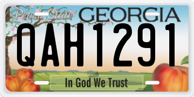 GA license plate QAH1291