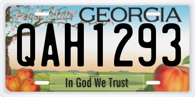 GA license plate QAH1293