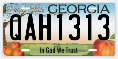 GA license plate QAH1313