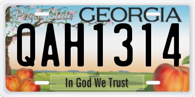 GA license plate QAH1314