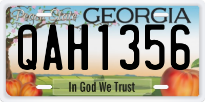 GA license plate QAH1356
