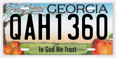 GA license plate QAH1360
