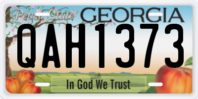 GA license plate QAH1373