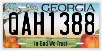 GA license plate QAH1388
