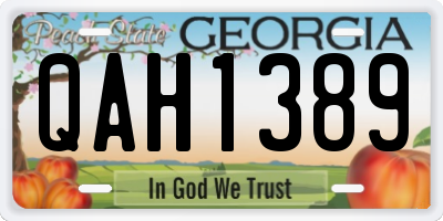 GA license plate QAH1389