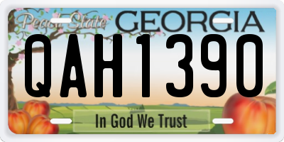 GA license plate QAH1390