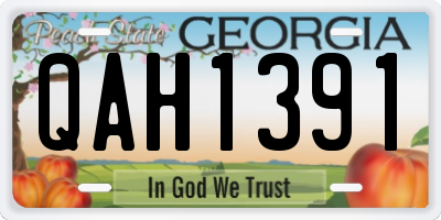 GA license plate QAH1391