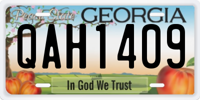 GA license plate QAH1409