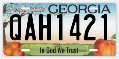 GA license plate QAH1421