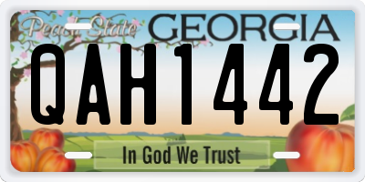 GA license plate QAH1442