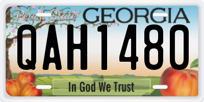 GA license plate QAH1480