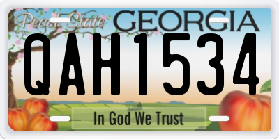 GA license plate QAH1534