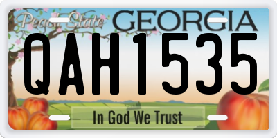GA license plate QAH1535