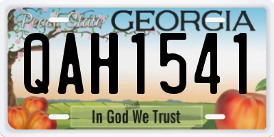 GA license plate QAH1541