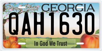 GA license plate QAH1630