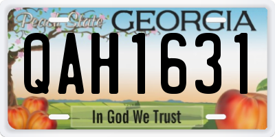 GA license plate QAH1631