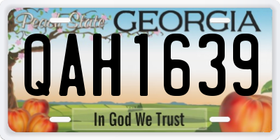 GA license plate QAH1639