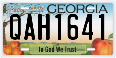 GA license plate QAH1641