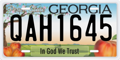 GA license plate QAH1645