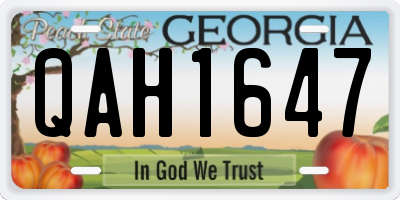 GA license plate QAH1647