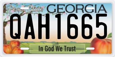GA license plate QAH1665