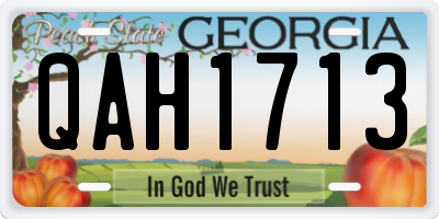 GA license plate QAH1713