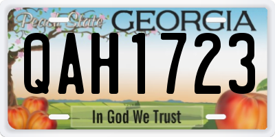 GA license plate QAH1723