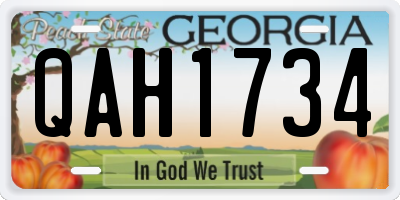 GA license plate QAH1734