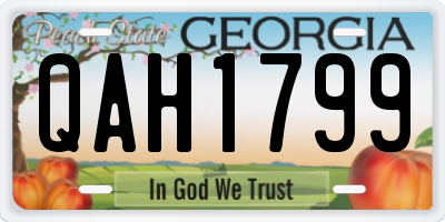 GA license plate QAH1799