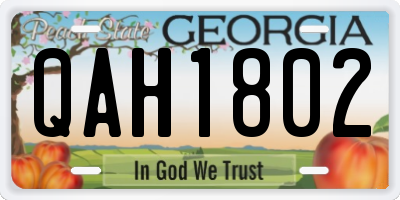 GA license plate QAH1802