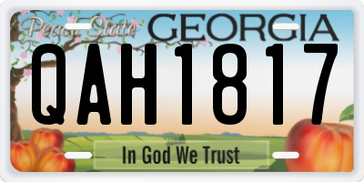 GA license plate QAH1817