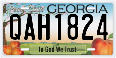 GA license plate QAH1824