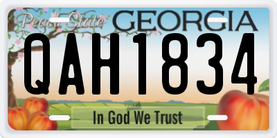 GA license plate QAH1834