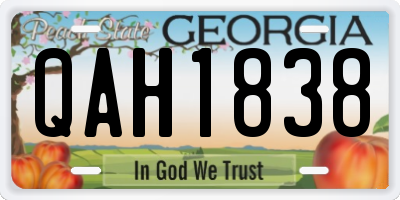 GA license plate QAH1838
