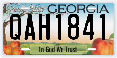 GA license plate QAH1841
