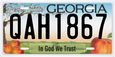 GA license plate QAH1867